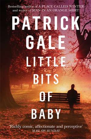 Little Bits of Baby de Patrick Gale