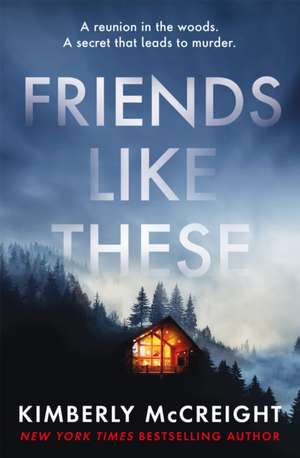 Friends Like These de Kimberly McCreight