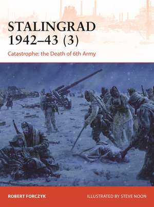 Stalingrad 1942–43 (3): Catastrophe: the Death of 6th Army de Robert Forczyk