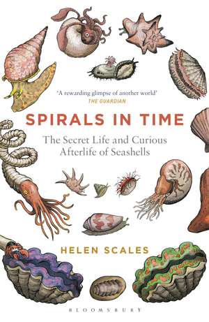 Spirals in Time: The Secret Life and Curious Afterlife of Seashells de Helen Scales