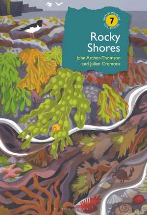 Rocky Shores de John Archer-Thomson