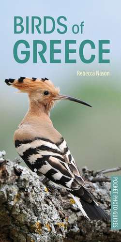 Birds of Greece de Rebecca Nason