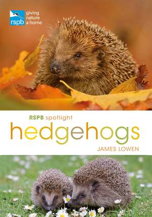 RSPB Spotlight Hedgehogs de James Lowen