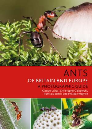 Ants of Britain and Europe de Claude Lebas