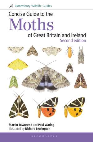 Concise Guide to the Moths of Great Britain and Ireland: Second edition de Martin Townsend