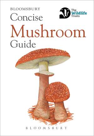 Concise Mushroom Guide de Bloomsbury