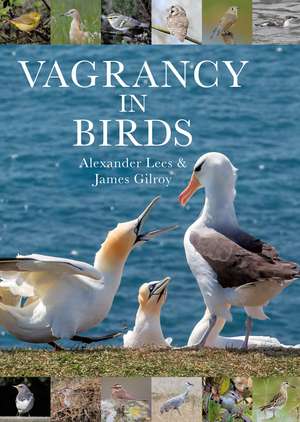 Vagrancy in Birds de Dr Alexander Lees