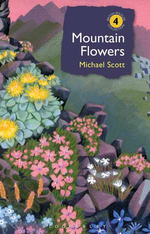 Mountain Flowers de Michael Scott