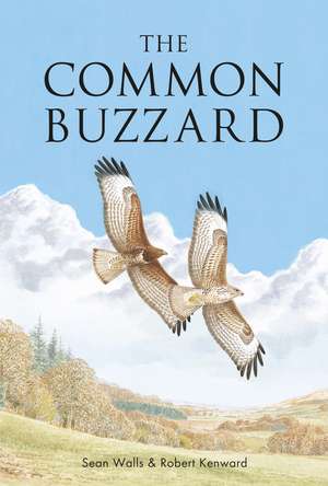 The Common Buzzard de Sean Walls