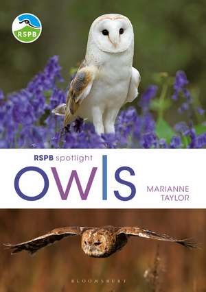 RSPB Spotlight Owls de Marianne Taylor