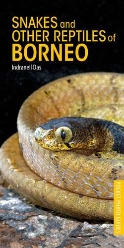 Snakes and Other Reptiles of Borneo de Indraneil Das