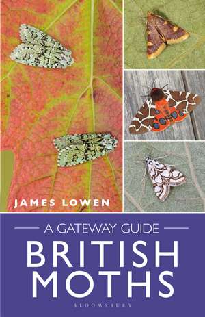 British Moths: A Gateway Guide de James Lowen