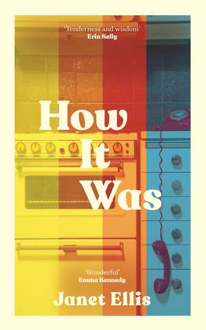 How It Was: the immersive, compelling new novel from the author of The Butcher's Hook de Janet Ellis