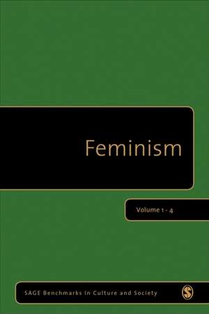 Feminism de Mary Evans