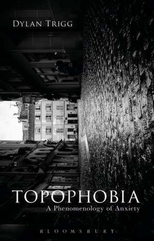 Topophobia: A Phenomenology of Anxiety de Dylan Trigg