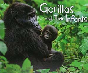 Hall, M: Gorillas and Their Infants