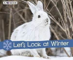 Let's Look at Winter de Sarah L. Schuette