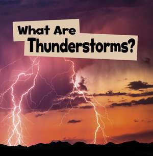 What Are Thunderstorms? de Mari Schuh