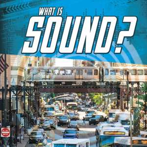 What Is Sound? de Jody S. Rake