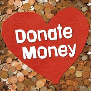 Donate Money de Emily Raij