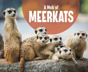 MOB OF MEERKATS A de RUSTAD MARTHA E H