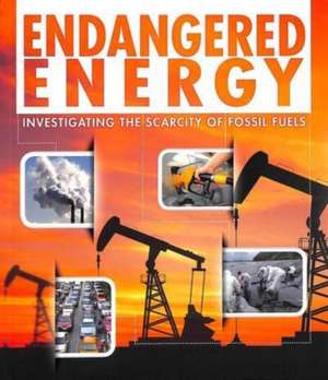 Endangered Energy de Rani Iyer