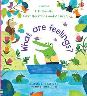 What Are Feelings? de Katie Daynes