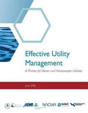 Effective Utility Management de Environmental Protection Agency