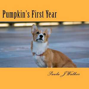 Pumpkin's First Year de Paula J. Walker