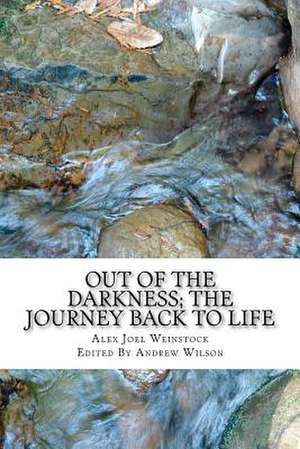 Out of the Darkness; The Journey Back to Life de MR Alex Joel Weinstock