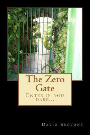 The Zero Gate de David W. Brovont