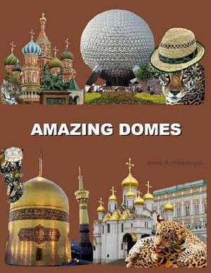 Amazing Domes de Naira Roland Matevosyan