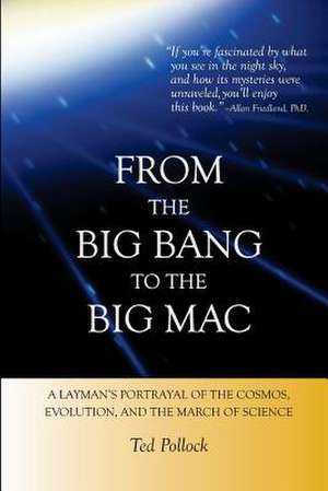 From the Big Bang to the Big Mac de Ted Pollock