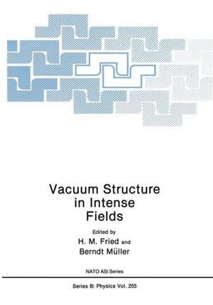 Vacuum Structure in Intense Fields de H. M. Fried