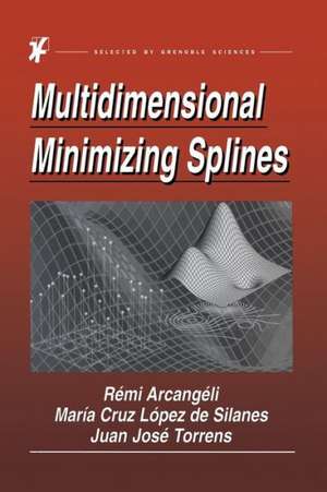 Multidimensional Minimizing Splines: Theory and Applications de R. Arcangéli