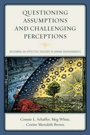 Questioning Assumptions and Challenging Perceptions de Connie L. Schaffer