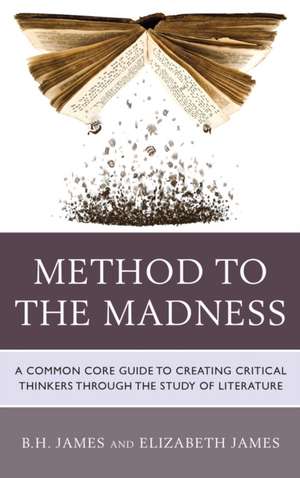 Method to the Madness de B. H. James