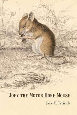 Joey the Motor Home Mouse de Jack E. Tetirick