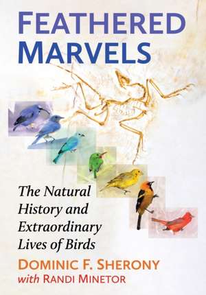 Feathered Marvels de Randi Minetor