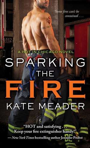 Sparking the Fire de Kate Meader