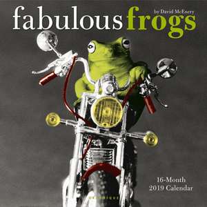 FABULOUS FROGS 2019 SQUARE WALL CALENDAR de GRAPHIQUE