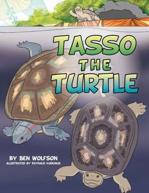 Tasso the Turtle de Ben Wolfson