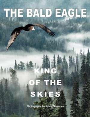 The Bald Eagle de Kalevi Sissonen