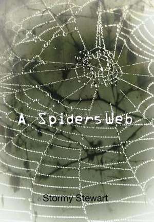 Stewart, S: Spiders Web