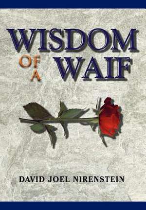 WISDOM OF A WAIF de David Joel Nirenstein