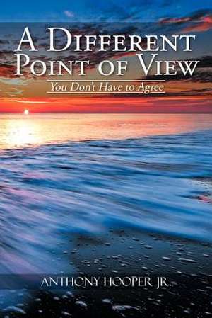 A Different Point of View de Anthony Hooper Jr