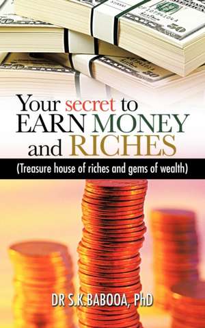 Your Secret to Earn Money and Riches de S. K. Babooa