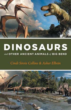 Dinosaurs and Other Ancient Animals of Big Bend de Cindi Sirois Collins