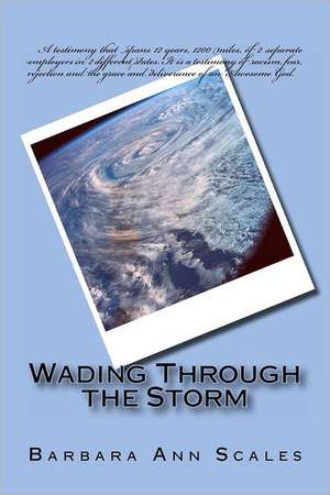 Wading Through the Storm: Getting the Most from Your Employees Without Tears de Barbara Ann Scales