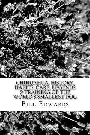 Chihuahua de Bill Edwards